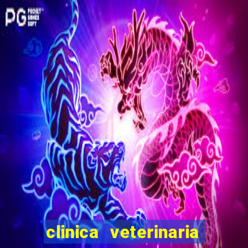 clinica veterinaria cuidar betim